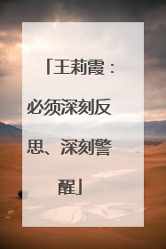 王莉霞：必须深刻反思、深刻警醒