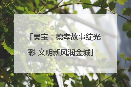 灵宝：德孝故事绽光彩 文明新风润金城