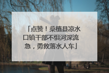 点赞！桑植县凉水口镇干部不惧河深流急，勇救落水人车