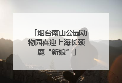 烟台南山公园动物园喜迎上海长颈鹿“新娘”
