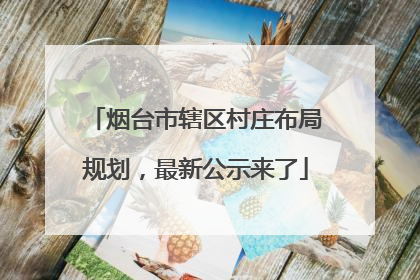 烟台市辖区村庄布局规划，最新公示来了