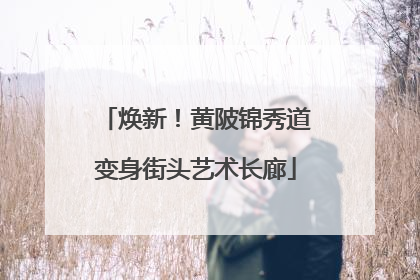 焕新！黄陂锦秀道变身街头艺术长廊