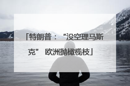 特朗普：“没空理马斯克” 欧洲抛橄榄枝