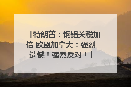 特朗普：钢铝关税加倍 欧盟加拿大：强烈遗憾！强烈反对！