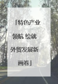 特色产业领航 绘就外贸发展新画卷