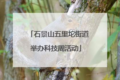 石景山五里坨街道举办科技周活动