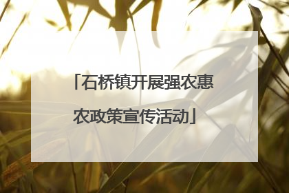 石桥镇开展强农惠农政策宣传活动