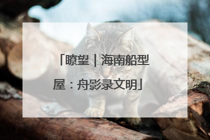 瞭望｜海南船型屋：舟影录文明
