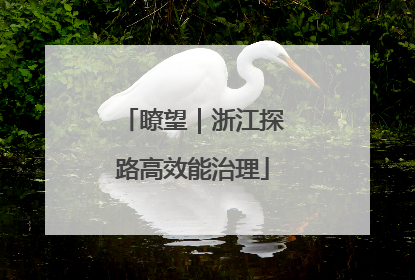 瞭望｜浙江探路高效能治理