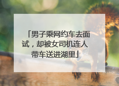 男子乘网约车去面试，却被女司机连人带车送进湖里
