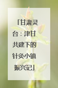 甘肃灵台：津甘共建下的针灸小镇振兴记