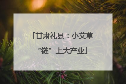 甘肃礼县：小艾草“链”上大产业
