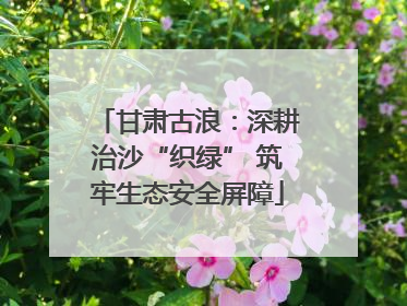 甘肃古浪：深耕治沙“织绿” 筑牢生态安全屏障