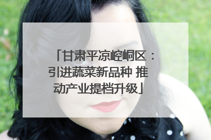 甘肃平凉崆峒区：引进蔬菜新品种 推动产业提档升级