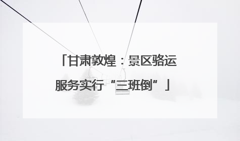 甘肃敦煌：景区骆运服务实行“三班倒”