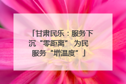 甘肃民乐：服务下沉“零距离” 为民服务“增温度”