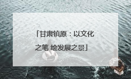 甘肃镇原：以文化之笔 绘发展之景