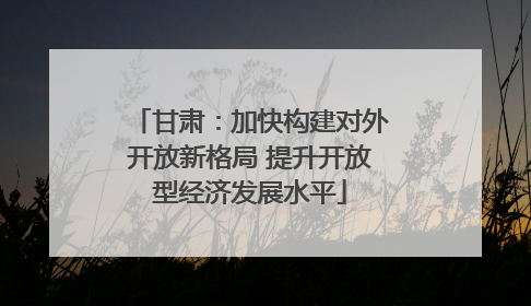 甘肃：加快构建对外开放新格局 提升开放型经济发展水平