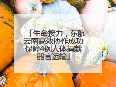 生命接力，东航云南高效协作成功保障4例人体捐献器官运输