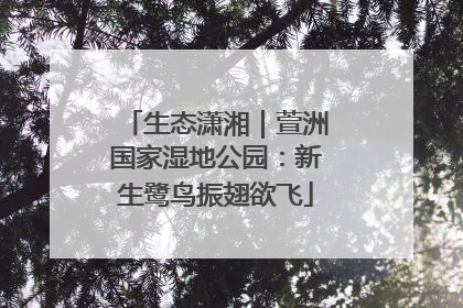 生态潇湘｜萱洲国家湿地公园：新生鹭鸟振翅欲飞