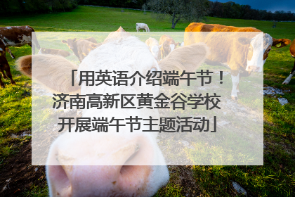 用英语介绍端午节！济南高新区黄金谷学校开展端午节主题活动