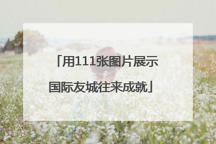 用111张图片展示国际友城往来成就