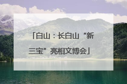 白山：长白山“新三宝”亮相文博会