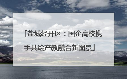 盐城经开区：国企高校携手共绘产教融合新图景