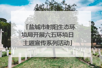 盐城市射阳生态环境局开展六五环境日主题宣传系列活动