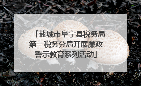 盐城市阜宁县税务局第一税务分局开展廉政警示教育系列活动