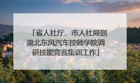 省人社厅、市人社局到湖北东风汽车技师学院调研技能竞赛集训工作