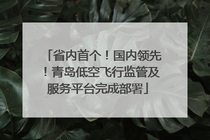 省内首个！国内领先！青岛低空飞行监管及服务平台完成部署