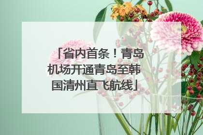 省内首条！青岛机场开通青岛至韩国清州直飞航线