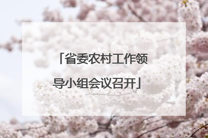 省委农村工作领导小组会议召开