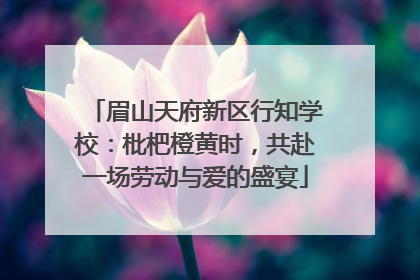 眉山天府新区行知学校：枇杷橙黄时，共赴一场劳动与爱的盛宴