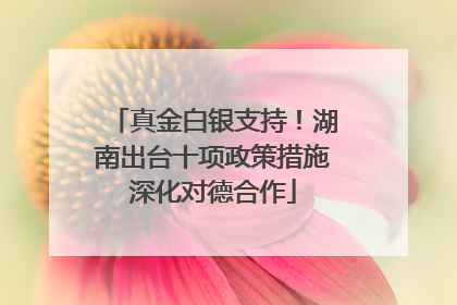 真金白银支持！湖南出台十项政策措施深化对德合作