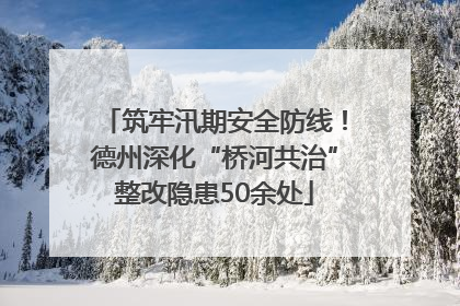 筑牢汛期安全防线！德州深化“桥河共治”整改隐患50余处
