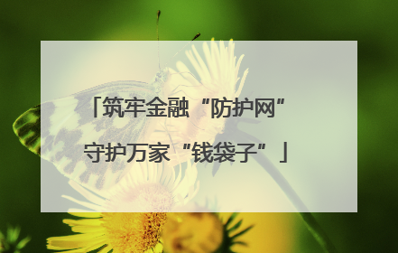 筑牢金融“防护网” 守护万家“钱袋子”