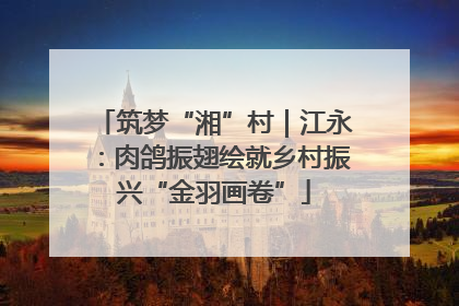筑梦“湘”村｜江永：肉鸽振翅绘就乡村振兴“金羽画卷”