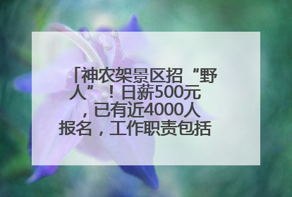 神农架景区招“野人”！日薪500元，已有近4000人报名，工作职责包括“接受游客投喂”