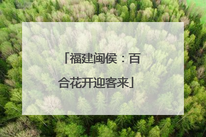 福建闽侯：百合花开迎客来