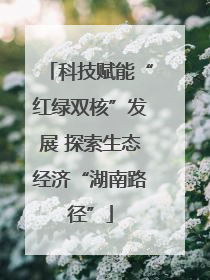 科技赋能“红绿双核”发展 探索生态经济“湖南路径”