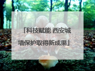 科技赋能 西安城墙保护取得新成果