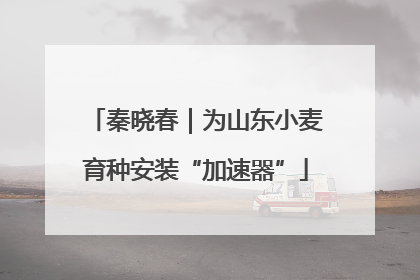 秦晓春｜为山东小麦育种安装“加速器”
