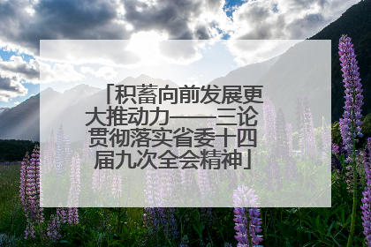 积蓄向前发展更大推动力——三论贯彻落实省委十四届九次全会精神