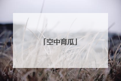 空中育瓜