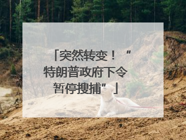 突然转变！“特朗普政府下令暂停搜捕”