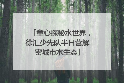 童心探秘水世界，徐汇少先队半日营解密城市水生态