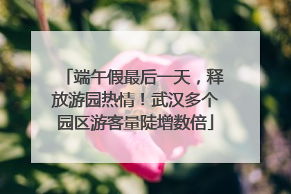 端午假最后一天，释放游园热情！武汉多个园区游客量陡增数倍