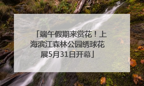 端午假期来赏花！上海滨江森林公园绣球花展5月31日开幕